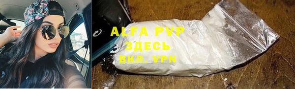 прущие грибы Дмитриев
