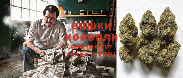 прущие грибы Дмитриев