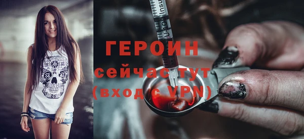 прущие грибы Дмитриев