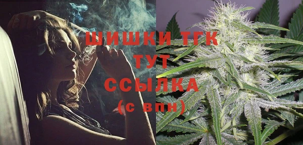 прущие грибы Дмитриев