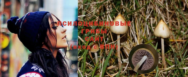 гидра Ельня