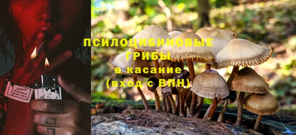 МДПВ Елизово