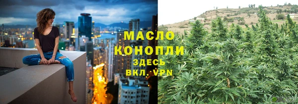 прущие грибы Дмитриев