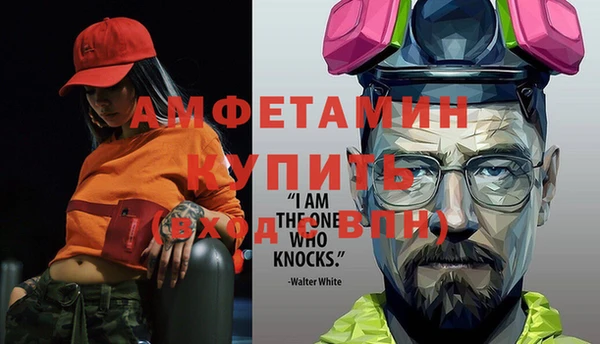 гидра Ельня