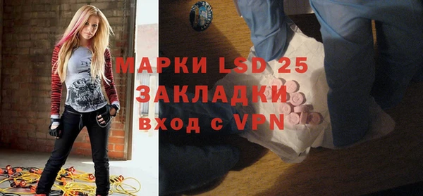 прущие грибы Дмитриев