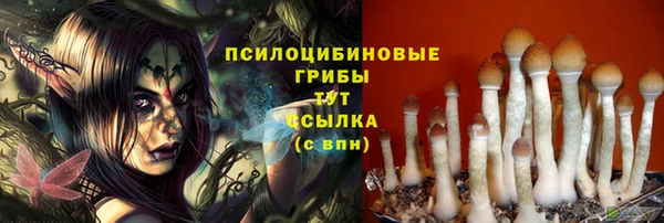 дживик Дмитровск