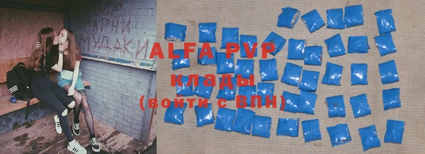 прущие грибы Дмитриев
