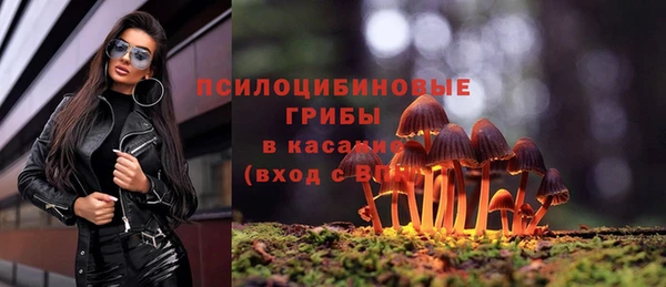 дживик Дмитровск