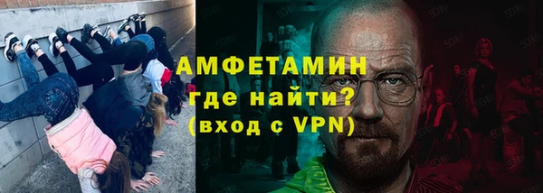 прущие грибы Дмитриев
